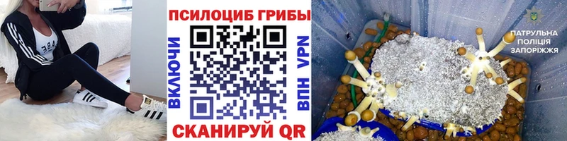 Галлюциногенные грибы Magic Shrooms  Купить где  Серафимович 